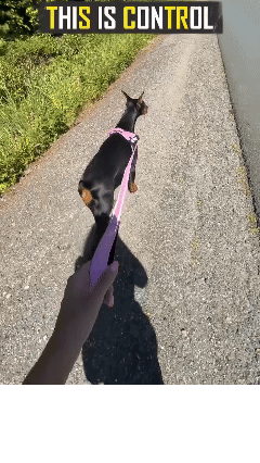 harness hero