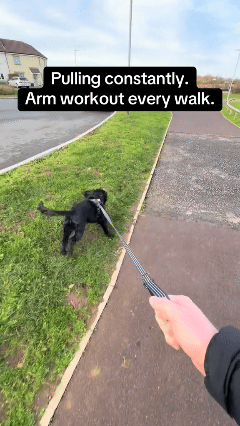 harness hero